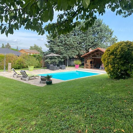 Gite Des Chabaudieres Chaneins Exterior photo